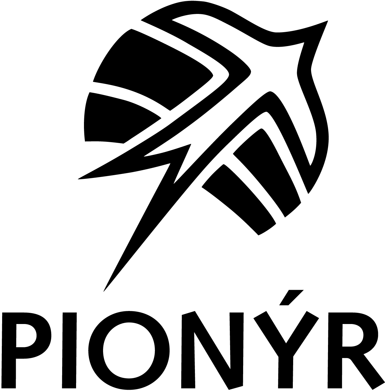 Pionýr